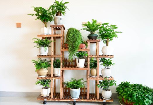 Chengjiang Nianhugui Inn Hotel Overview