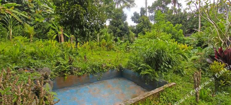 Spot on 92567 Jati Homestay Near Taman Suranadi图片