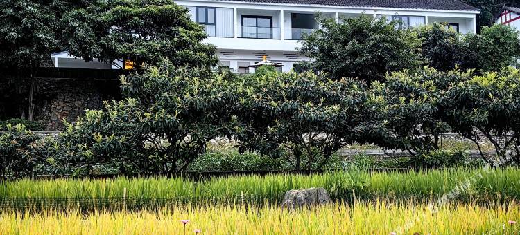 兴义青青于野民宿图片