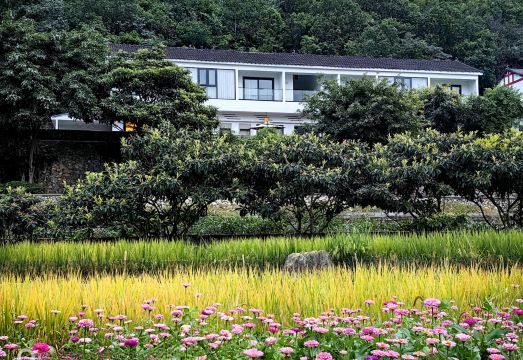 兴义青青於野民宿