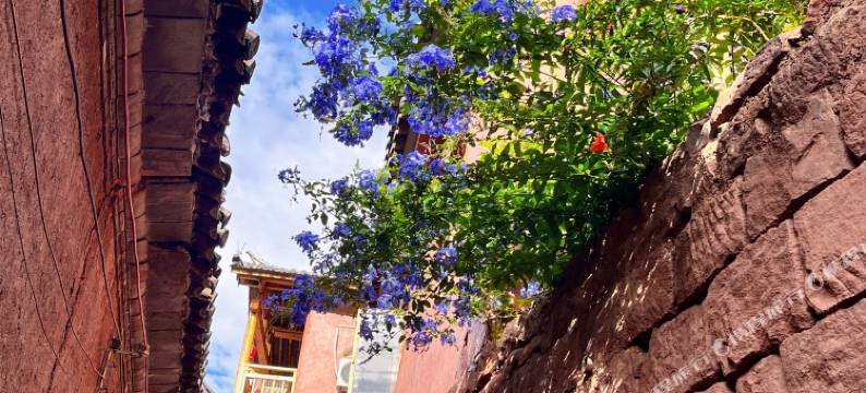 尺木有节民宿图片