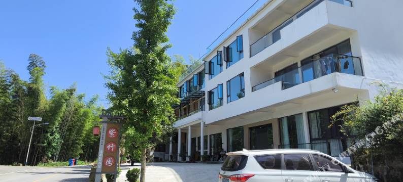 重庆茶山竹海竹良山色民宿图片