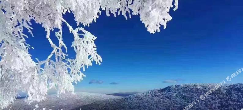 棉花糖酒店(中国雪乡风景区店)图片