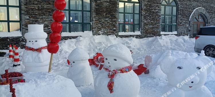 林海雪原民宿(亚布力滑雪旅游度假区店)图片