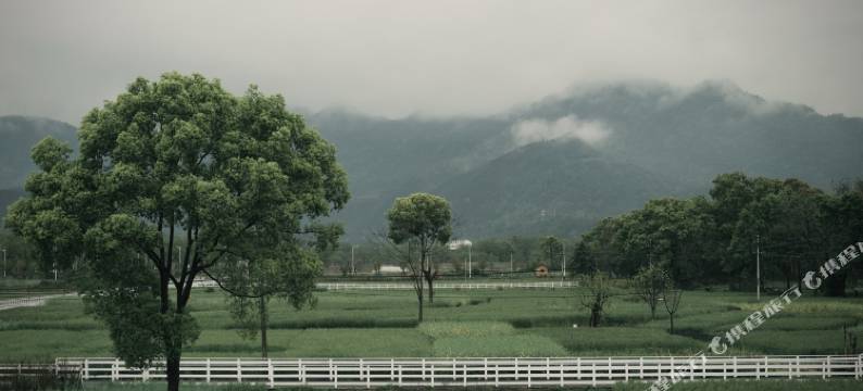 田家莫上隐民宿(楠溪江店)图片