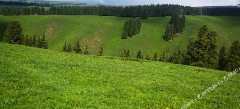 琼库什台盛开民宿图片