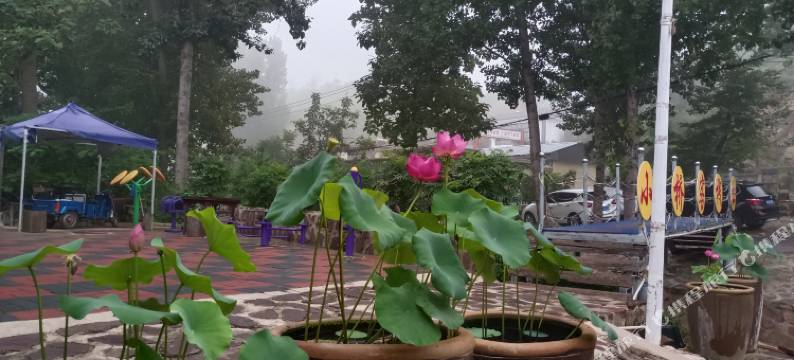 石家庄小桥客栈(西部长青店)图片