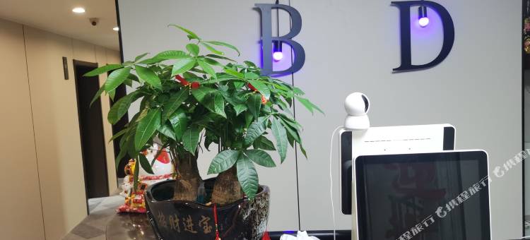 泗阳百度商务宾馆(财富广场店)图片
