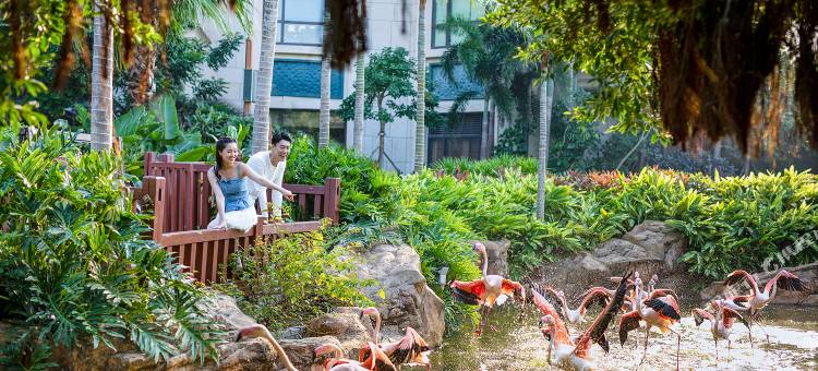 长隆横琴湾酒店(珠海长隆旗舰店)图片