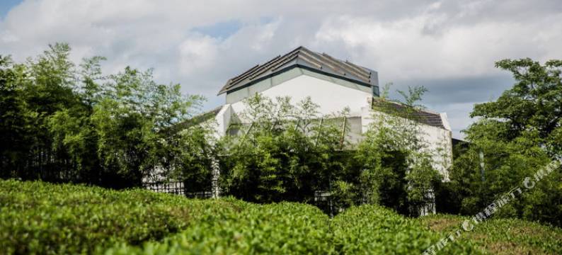 武夷山山栖谷隐民宿(奇丹茶庄园店)图片