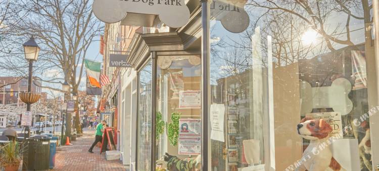 The King Street House by Kasa图片