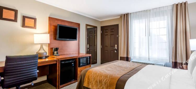 舒适酒店圣莫妮卡-西洛杉矶(Comfort Inn Santa Monica - West Los Angeles)图片