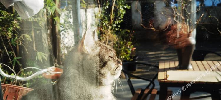 景德镇瓷里瓷外客栈图片