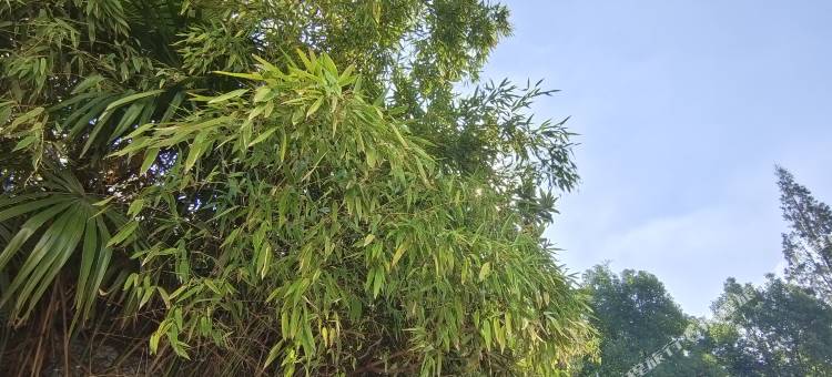 一潮酒店(南京江浦龙华路地铁站店)图片