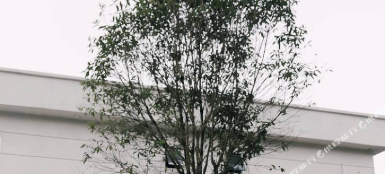 绵竹清平乡土印象民宿图片