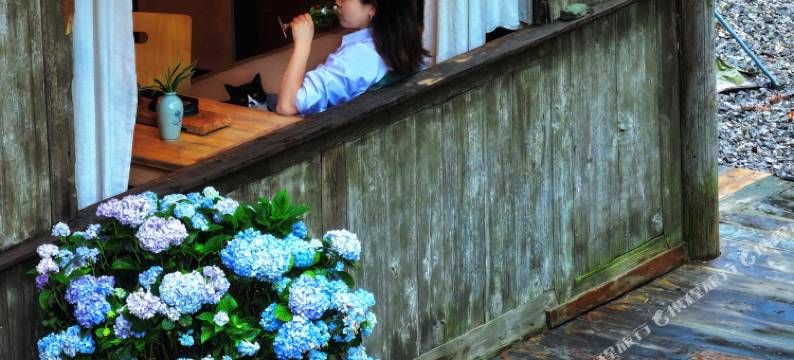 梵净山森隐空间图片