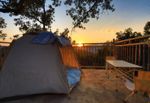 Elephant Specialty Coffee Manor Hotel Overview