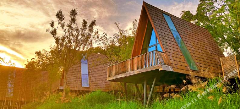 婺源树小蛙度假酒店图片