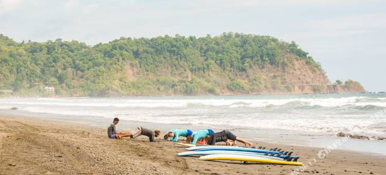 Socialtel Jaco - Formerly Selina Jaco图片