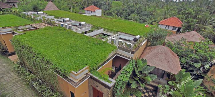 巴厘岛乌布绿林酒店(Ubud Green Resort Villas Powered by Archipelago)图片