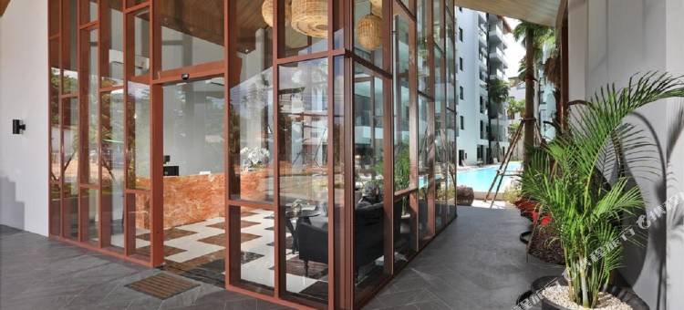 The Palmyrah Surin by Holy Cow B207图片