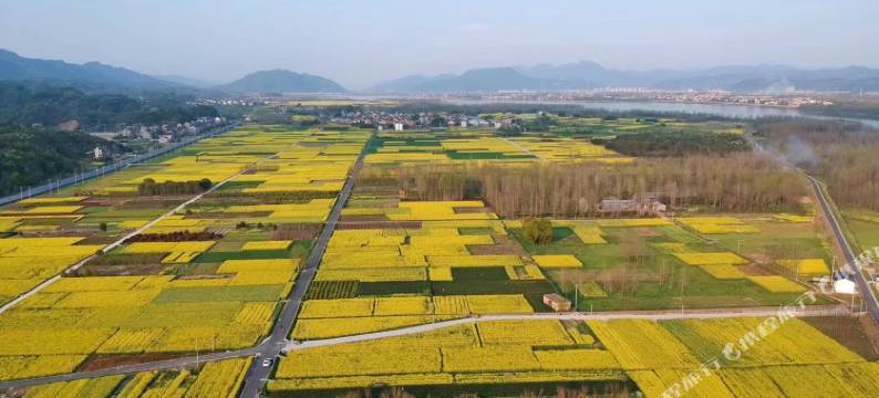 杭州富阳沚上花舍图片
