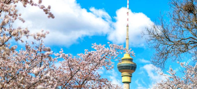 北京梅地亚中心图片