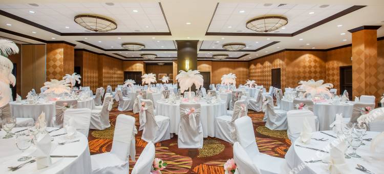 达拉斯市中心皇冠假日酒店(Crowne Plaza Hotel Dallas Downtown)图片