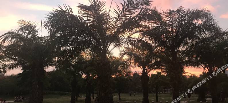 三亚山海悦酒店图片