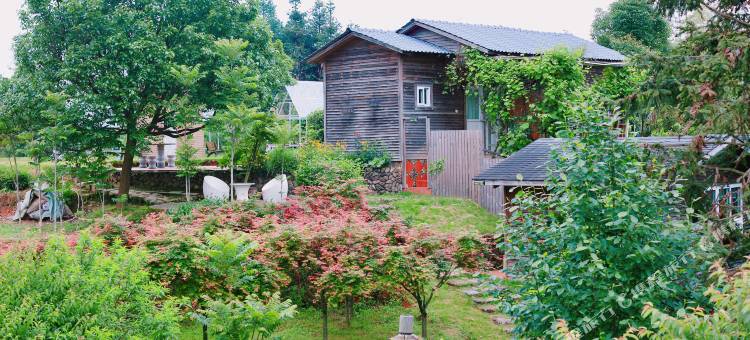 福建南靖静心山居度假茶庄图片