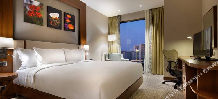 伊斯坦布尔贝利克杜祖希尔顿花园酒店(Hilton Garden Inn Istanbul Beylikduzu)图片
