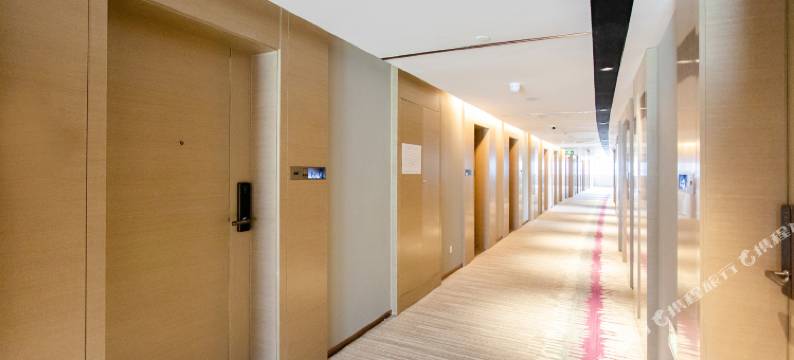 麗枫酒店(广州知识城何棠下地铁站店)图片