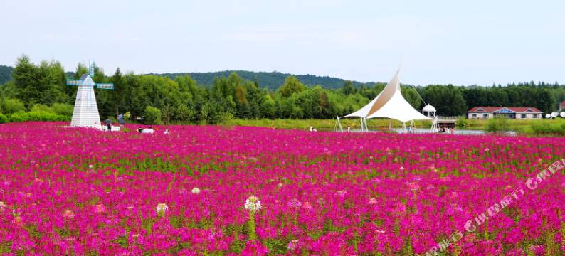 伊春顺风农家院图片