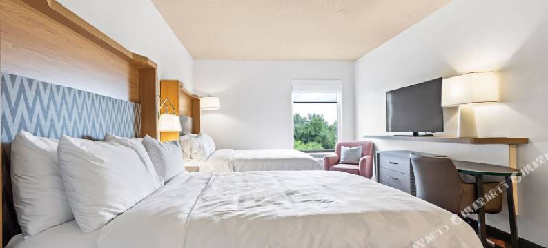 圣彼得堡西假日酒店(Holiday Inn ST. PETERSBURG WEST by IHG)图片