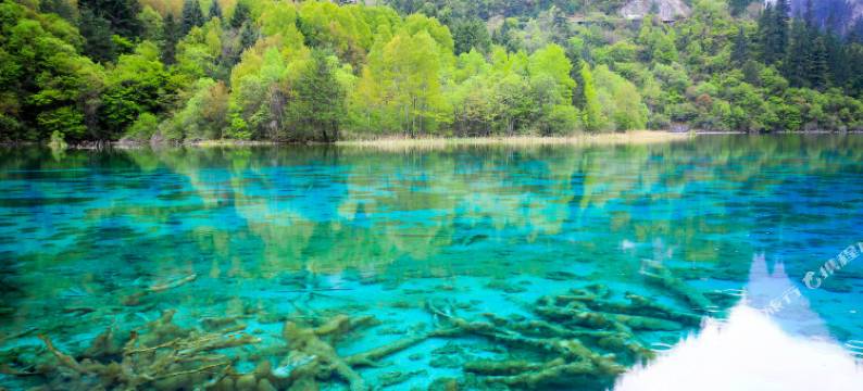 九寨沟倚望雅居客栈图片