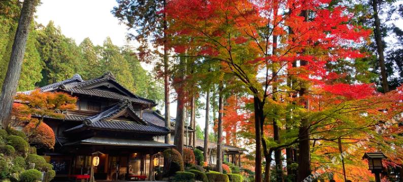 下吕温泉 汤之岛馆(Yunoshimakan)图片