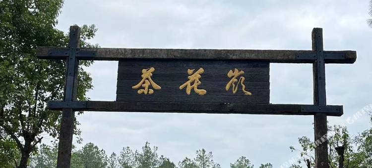 茶花岭野奢营地图片