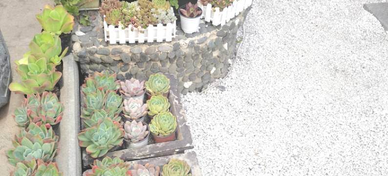 大理古城福源轩客栈(古城店)图片