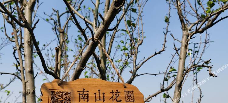 海盐南山马会图片