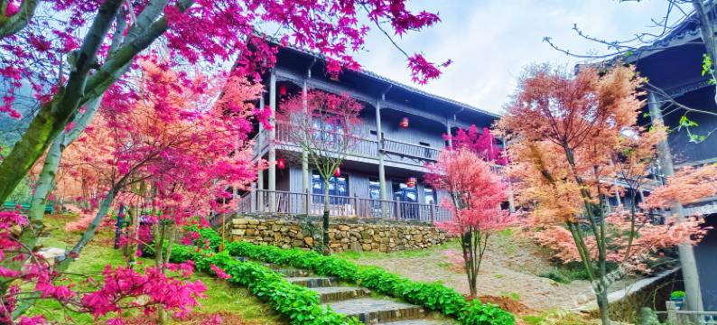 云冰山浆洞客栈图片