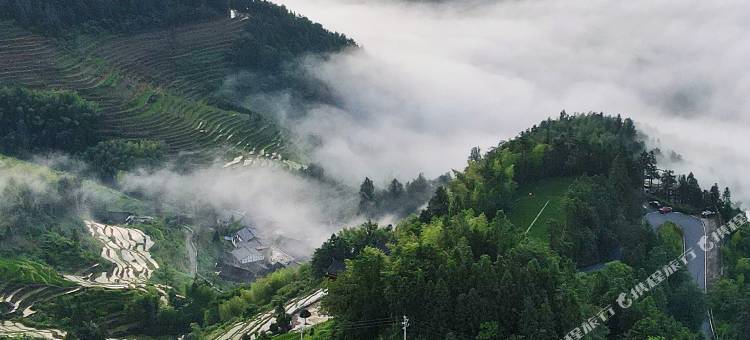 紫鹊云居图片