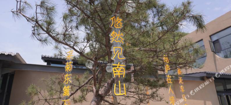 云境太极谷·悠然居图片