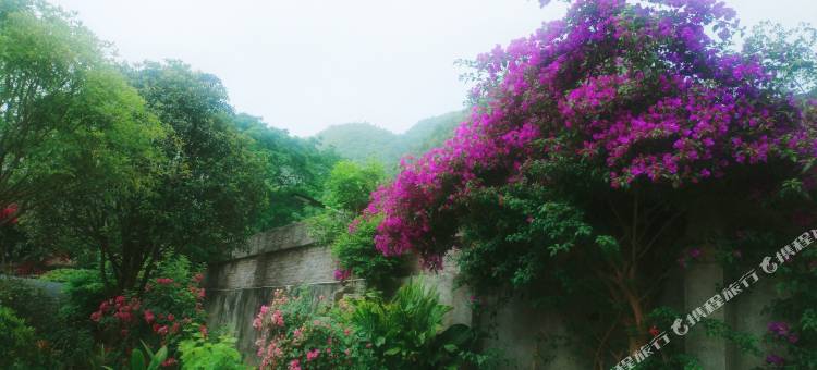 兴义纳瑞民宿图片
