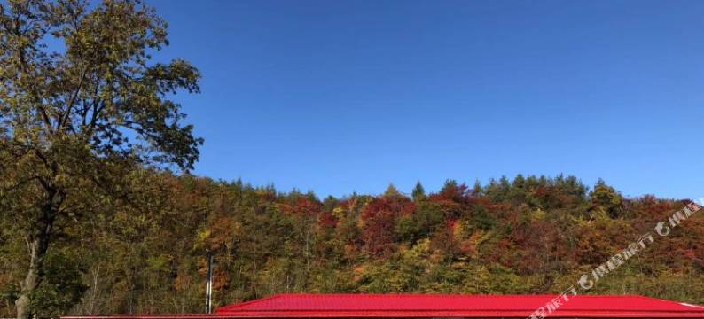 本溪县金湖农家院图片