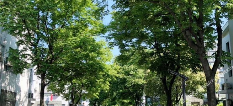 上海铂竞公寓(国家会展中心店)图片