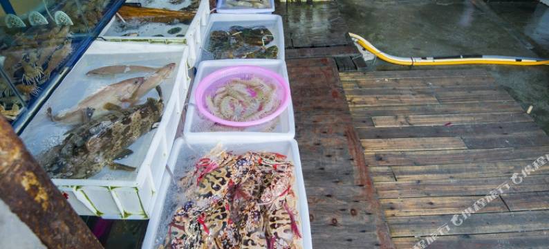 东方云栖民宿图片