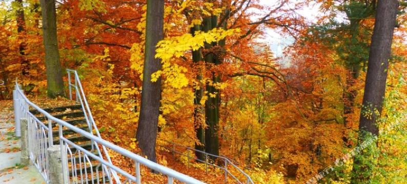 沃尔兹罗森公园酒店(Parkhotel Waldschlösschen)图片