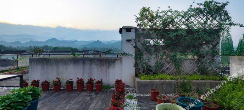 艺家康养酒店图片