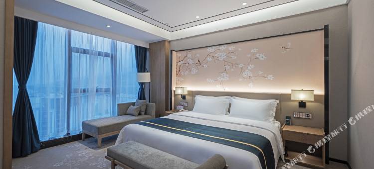 雅安西网国际酒店图片