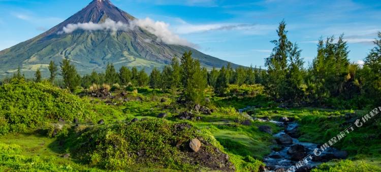 红多兹酒店@戈莱特华盛顿(RedDoorz @ Golite Washington)图片